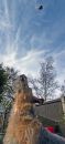 MG_0183.jpg