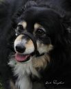 Maggie_DSC0027web700hsr72.jpg