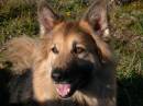 Max_2917.jpg