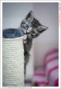 Oxford_Animal_Sanctuary-28.jpg
