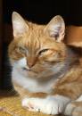 Pickle-057_edited-1.jpg
