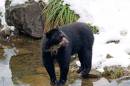 Picture_0062.jpg