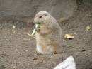 Playing_the_Flute.jpg