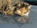 Salvatore_1_24-6-06.JPG