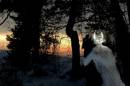 Tur_til_Oksenoya_29_januar0001_11_mini.jpg