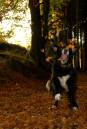 leaf_dancing.jpg