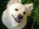 north_with_a_grin.jpg