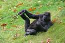 relaxed_posture.jpg
