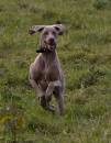 shotton190908055.jpg