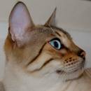 tizzy_storm_new_2.jpg