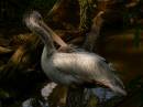 twycross_22082007-058.jpg