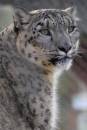 zoo0181.jpg