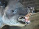 zoo_11.jpg