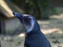 zoo_4.jpg