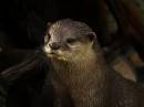 zoo_41.jpg