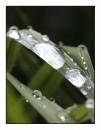 060501-droplets01.jpg