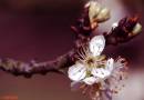 08040431_copy.jpg