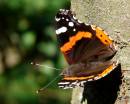 19_09_06_rec2.jpg