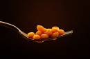 Beanz_on_fork_-800.jpg