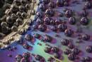 Bubbles10.jpg
