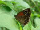 DSC02309.JPG
