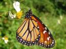 DSC07223.jpg