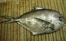 DSC07357.JPG
