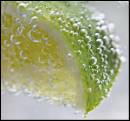 DSC08220x.jpg