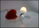 DSC09811.jpg