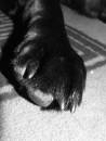 DSCF1129.JPG
