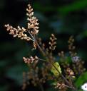 DSC_0053_cropped_2.jpg
