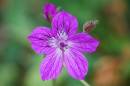 DSC_0129_edited-1.jpg