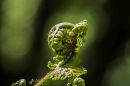 DSC_02851.jpg
