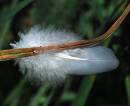 DSC_0464.JPG