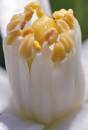 DSC_1451_edited-9.jpg