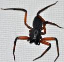 DSC_2262_edited-3.jpg