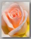 DSC_2579b.jpg