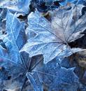 Death_of_Autum_col.jpg