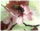 Drone_Hover_fly.JPG
