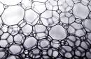 Foam_Black_6-800px.jpg
