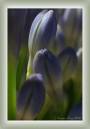 IMG_0059-sss.jpg