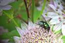 IMG_0261b.jpg