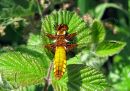 IMG_0347_edited-1.jpg