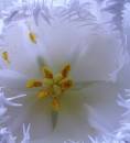 IMG_0477c_filteredb_filtered.jpg