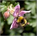 /gallery/data/514/thumbs/IMG_1052.jpg