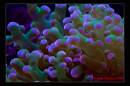 IMG_1160-Edit.jpg