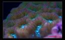 IMG_1165-Edit.jpg