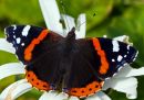 IMG_1410.jpg