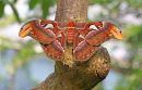 IMG_1661_bewerkt-2.jpg