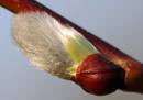 IMG_1847_edited-1.jpg